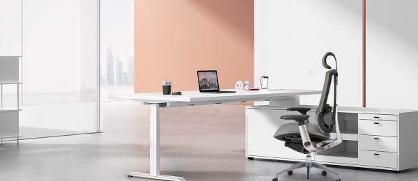 Modern Executive Desks for a Youthful & Creative Workspace